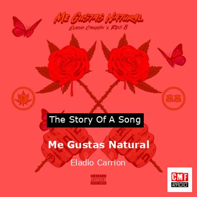 The Story And Meaning Of The Song Me Gustas Natural Eladio Carrion