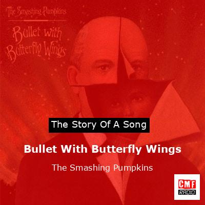 The Story And Meaning Of The Song Bullet With Butterfly Wings The