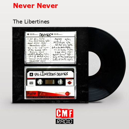 La historia y el significado de la canción Never Never The Libertines