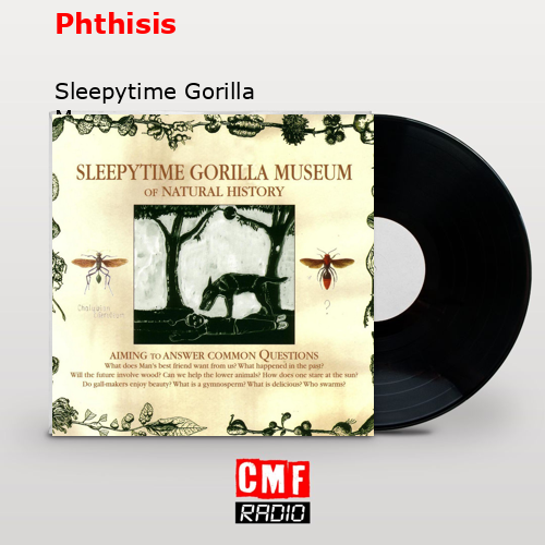 La historia y el significado de la canción Phthisis Sleepytime