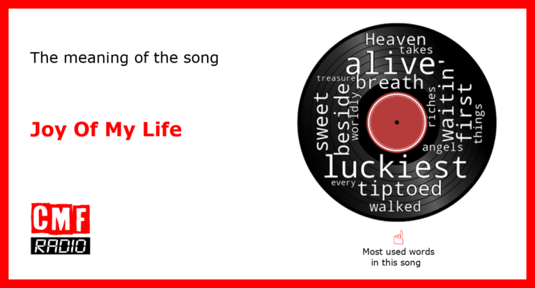 joy of my life song meaning