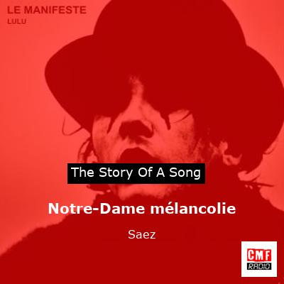 story of a song - Notre-Dame mélancolie - Saez
