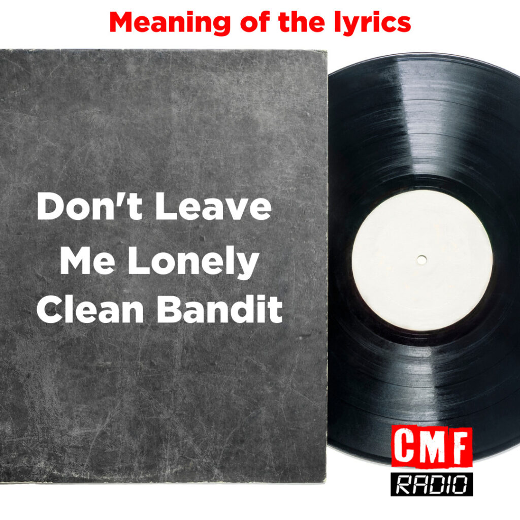 Meaning of the lyrics Dont Leave Me Lonely Clean Bandit