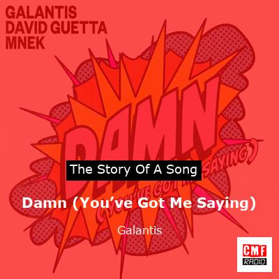 story of a song - Damn (You’ve Got Me Saying) - Galantis