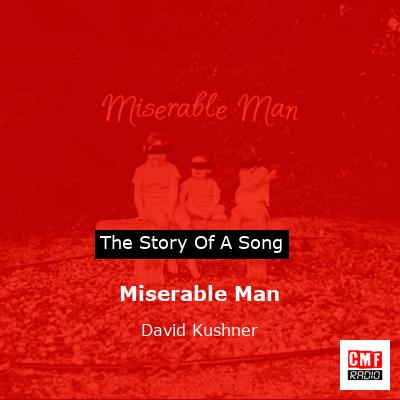 story of a song - Miserable Man - David Kushner