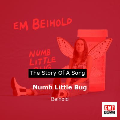 story of a song - Numb Little Bug - Beihold