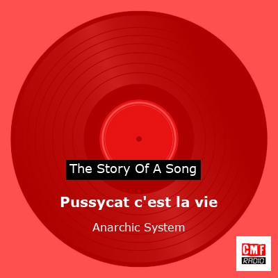 Pussycat c’est la vie – Anarchic System