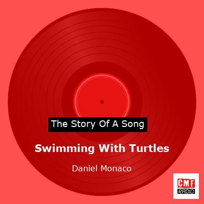 story of a song - Swimming With Turtles - Daniel Monaco