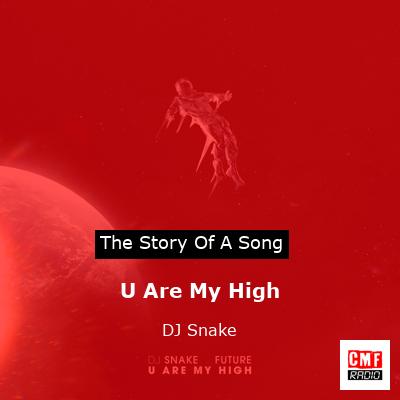 U Are My High – DJ Snake