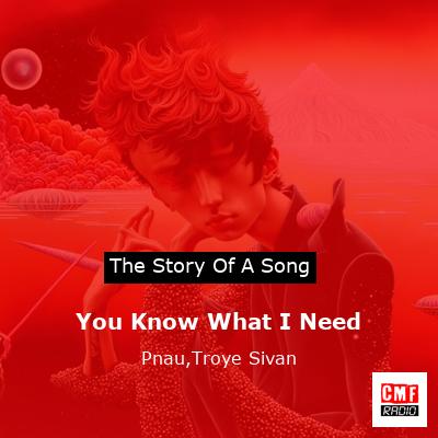 story of a song - You Know What I Need - Pnau
