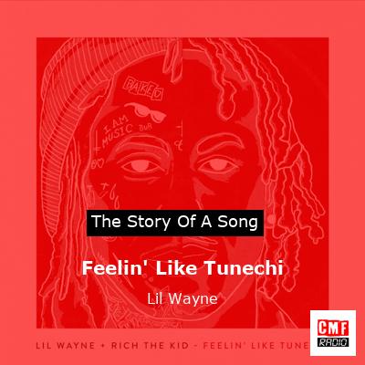 Story of the song Feelin' Like Tunechi - Lil Wayne