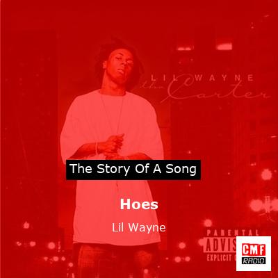 Story of the song Hoes - Lil Wayne