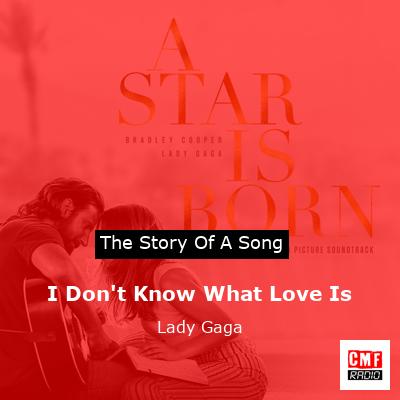 Story of the song I Don't Know What Love Is - Lady Gaga