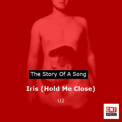 Story of the song Iris (Hold Me Close) - U2