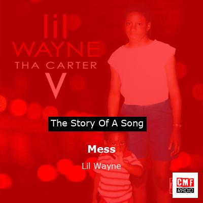 Story of the song Mess - Lil Wayne
