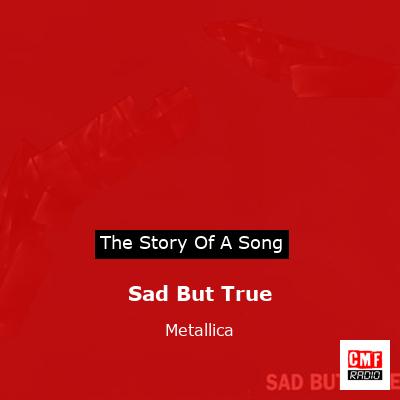 Story of the song Sad But True - Metallica