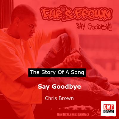 Story of the song Say Goodbye - Chris Brown