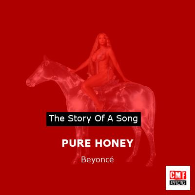 Story of the song PURE HONEY - Beyoncé