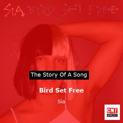 story of a song - Bird Set Free - Sia