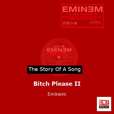 Bitch Please II – Eminem