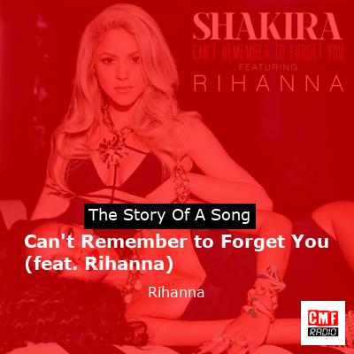 story of a song - Can't Remember to Forget You (feat. Rihanna) - Rihanna