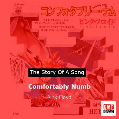 story of a song - Comfortably Numb - Pink Floyd