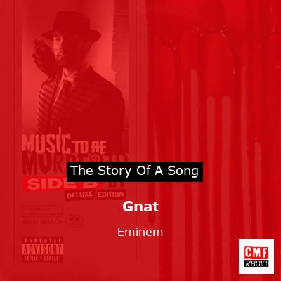 story of a song - Gnat - Eminem