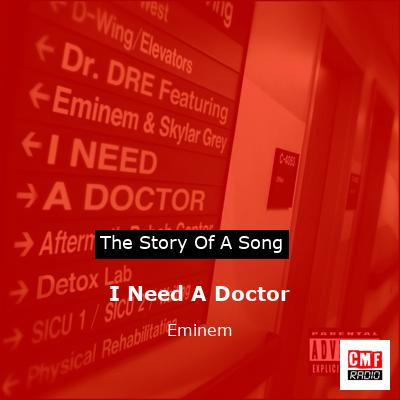 story of a song - I Need A Doctor - Eminem