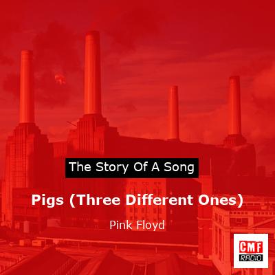 Pigs (Three Different Ones) – Pink Floyd