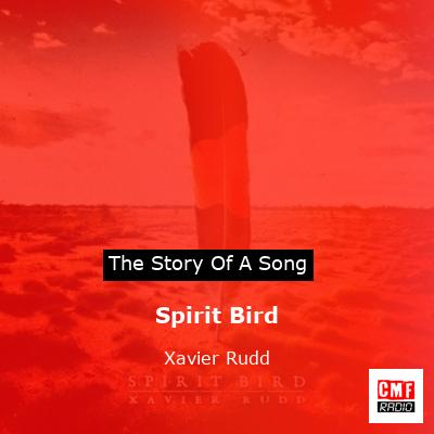 story of a song - Spirit Bird - Xavier Rudd