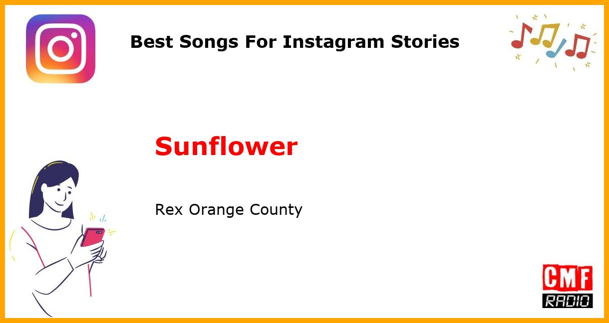Best Songs For Instagram Stories: Sunflower - Rex Orange County