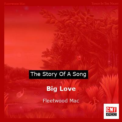 Story of the song Big Love - Fleetwood Mac