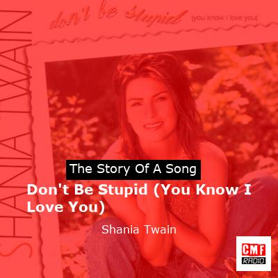 Don’t Be Stupid (You Know I Love You) – Shania Twain