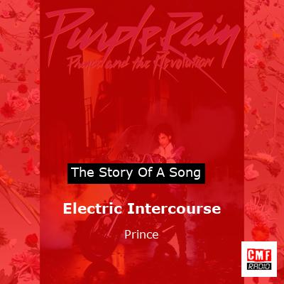 Story of the song Electric Intercourse - Prince