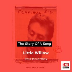 Story of the song Little Willow - Paul McCartney
