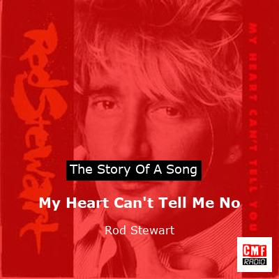 Story of the song My Heart Can't Tell Me No - Rod Stewart