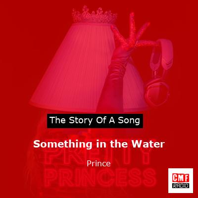 Story of the song Something in the Water - Prince