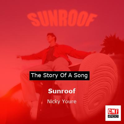 Story of the song Sunroof - Nicky Youre