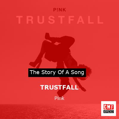 Story of the song TRUSTFALL - Pink