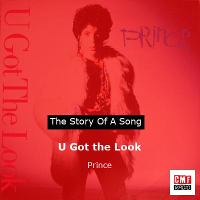 Story of the song U Got the Look - Prince