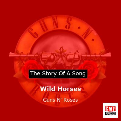 Wild Horses  – Guns N’ Roses