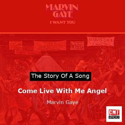 Come Live With Me Angel – Marvin Gaye