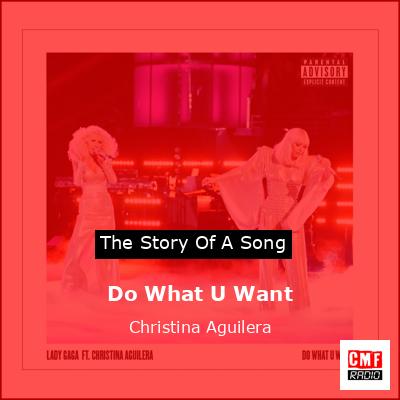 Story of the song Do What U Want - Christina Aguilera