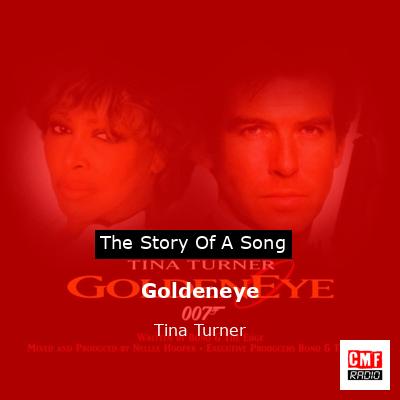 Story of the song Goldeneye - Tina Turner