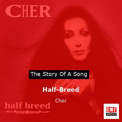 Story of the song Half-Breed - Cher