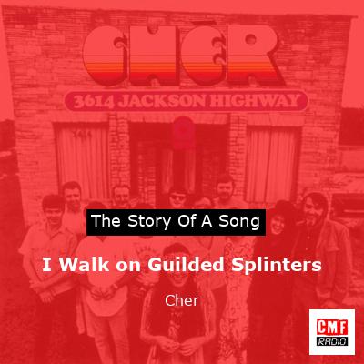 I Walk on Guilded Splinters – Cher