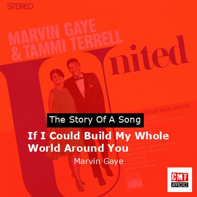 If I Could Build My Whole World Around You – Marvin Gaye