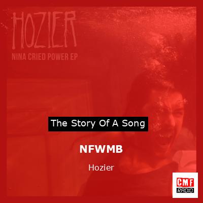 Story of the song NFWMB - Hozier