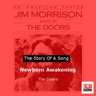 Story of the song Newborn Awakening - The Doors