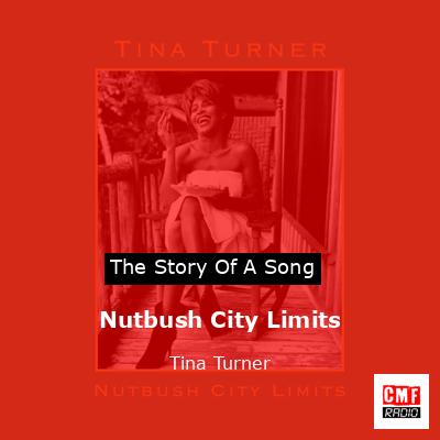 Story of the song Nutbush City Limits - Tina Turner